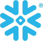 snowflake-bug-color-rgb@1x